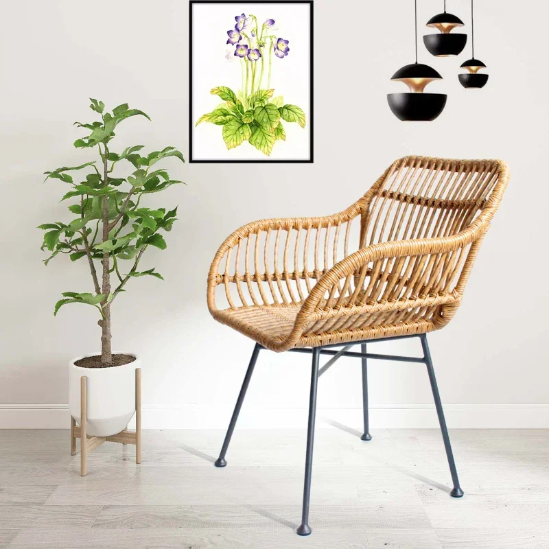 Sedie da pranzo nordiche per c - Outdoor Furniture Kitchener recensione e prezzo